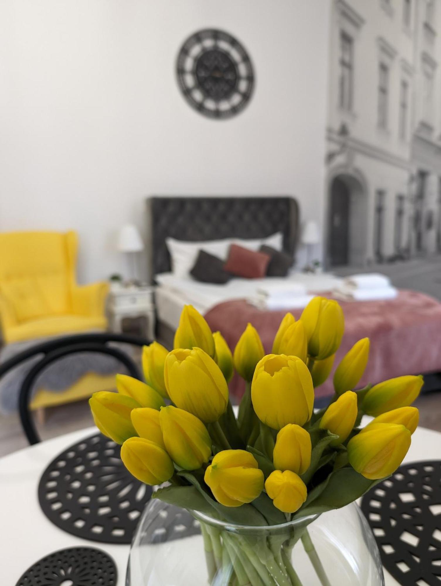 Zamstudio Krakow Zamenhofa 4 Extérieur photo